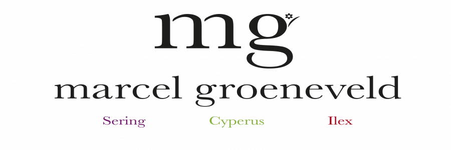 marcelgroeneveld header