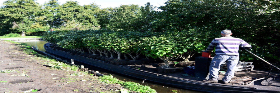 marcelgroeneveld header